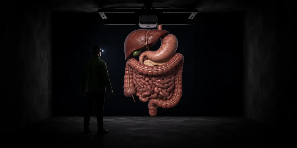 JNI Immersive Experiences: Health Education You Can Walk Through